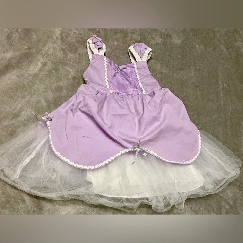 Purple Costume
